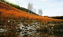 给长辈的短信问候语