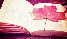 小学生四五六年级好词好句