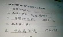 关于带鸟的诗句