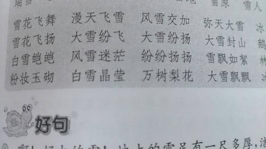   雪花的成语  1