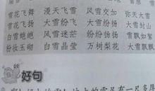 描写雪花的成语