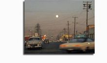 自嘲心酸的句子