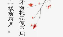 描写梅花的诗句古诗