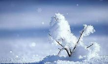 关于雪的抒情诗句
