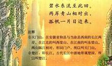 借节日抒情的诗句