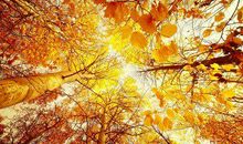 心烦失眠的经典句子