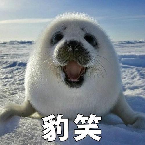 您是否还想开个玩笑使人笑