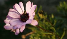 变得越来越沉默的说说 越长大越沉默的说说