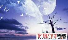 关于月亮的抒情诗句