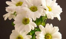 人在一起心不在一起的说说