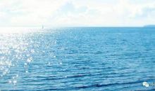 描写大海的好句