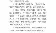 关于描写小草的句子