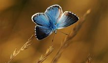 写给懒人的励志语句 对于懒人的名言励志