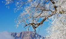 关于写雪的比喻句