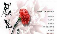 母亲节送花祝福语