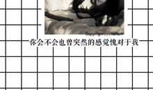 对感情绝望失望的句子