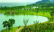 配夜景简短的文字