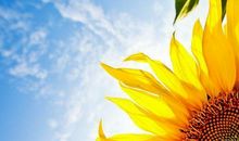 辛苦但有收获的开心句子