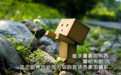 是性格最高的学校