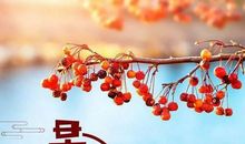 说早安的句子