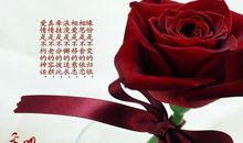 情人节祝福语诗句