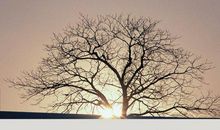 与神对话经典语录