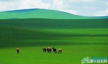 有关描写草原的诗句