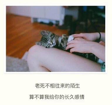 每当我感到自己很美丽时