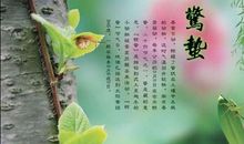 有关描写春天雨的谚语