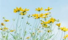 不要自以为是的说说