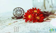 留言板暖心句子