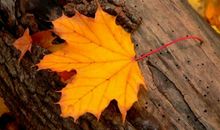 早上关心问候朋友短信