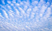 口号英语怎么说