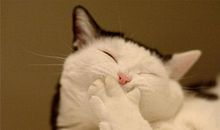 形容我活得特别开心的句子