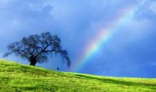 形容彩虹的优美句子