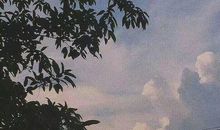 感恩领导感恩公司的句子