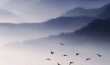 感恩父母的精致句子