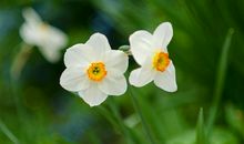 销售早上发朋友圈经典语录