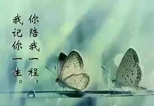 没有人能使你跌倒