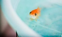 差点心碎的句子