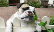 单身狗光棍节的句子 适合光棍节发的签名