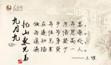 表达作者思乡的诗句