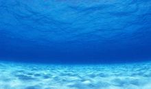写大海的诗句