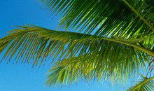 春天短信问候祝福语