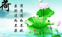 荷花诗句大全