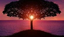 偶尔放纵一下自己的说说