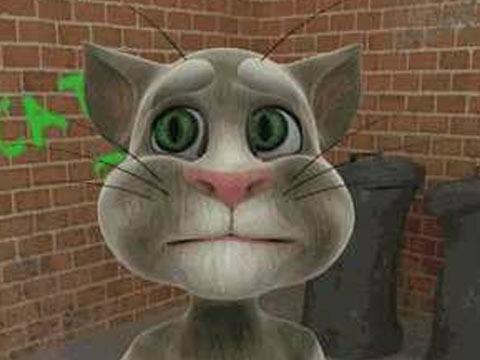   梦Zhou以求的猫可以根据周易的五个要素来分析