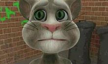 梦见会说话的猫