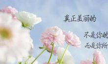 描写爱心的优美句子