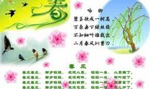 描写春天的优美语句
